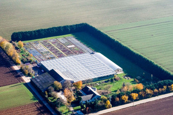 Luftbild von Sudetenhof in Steinweiler im Bundesland Rheinland-Pfalz, Deutschland