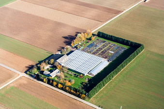 Schrägluftbild von Sudetenhof in Steinweiler im Bundesland Rheinland-Pfalz, Deutschland