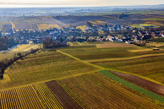 Dorfansicht hinter Weinbergen aus Norden in Dierbach im Bundesland Rheinland-Pfalz, Deutschland