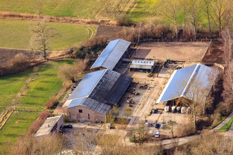 Luftaufnahme von Reiterhof Kennelhof im Ortsteil Sondernheim in Germersheim im Bundesland Rheinland-Pfalz, Deutschland