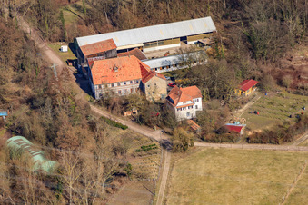 Drohnenbild von Wanzheimer Mühle in Rheinzabern im Bundesland Rheinland-Pfalz, Deutschland