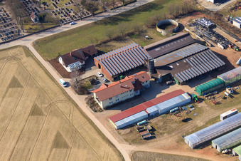 Schrägluftbild von Schmiedhof und Pension Neupotz im Bundesland Rheinland-Pfalz, Deutschland