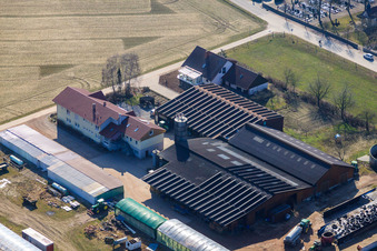 Schmiedhof und Pension Neupotz im Bundesland Rheinland-Pfalz, Deutschland aus der Luft