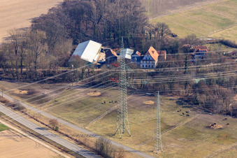 Luftbild von Pferdeweiden bei der Wanzheimer Mühle in Rheinzabern im Bundesland Rheinland-Pfalz, Deutschland