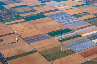 Windräder des Windpark Statkraft im Ortsteil Heiligenstein in Römerberg im Bundesland Rheinland-Pfalz, Deutschland