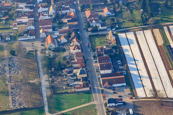 Luftaufnahme von Schwegenheimer Straße in Lingenfeld im Bundesland Rheinland-Pfalz, Deutschland
