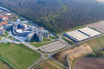 SAP Deutschland SE & Co. KG in Walldorf im Bundesland Baden-Württemberg aus der Vogelperspektive