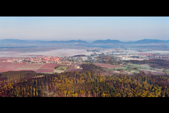 Dorfansicht im Frühdunst von Osten in Steinweiler im Bundesland Rheinland-Pfalz, Deutschland