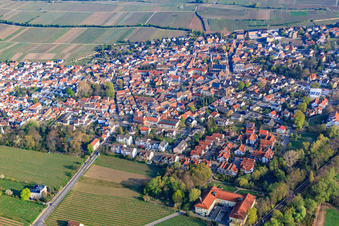 Luftaufnahme von Weinort von Südosten in Deidesheim im Bundesland Rheinland-Pfalz, Deutschland
