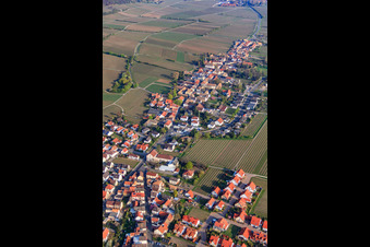 Weinstr in Forst an der Weinstraße im Bundesland Rheinland-Pfalz, Deutschland