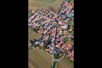 Niederkircher Straße in Forst an der Weinstraße im Bundesland Rheinland-Pfalz, Deutschland