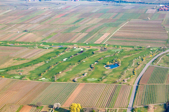 Dackenheim,Golfclub Deutsche Weinstraße im Bundesland Rheinland-Pfalz, Deutschland von oben