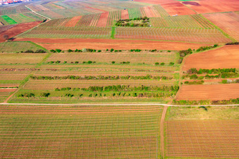 Luftbild von Beim Goldbergbrunnen im Ortsteil Dalsheim in Flörsheim-Dalsheim im Bundesland Rheinland-Pfalz, Deutschland