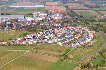 Neubaugebiet Rosetta-Vogt-Straße in Bodenheim im Bundesland Rheinland-Pfalz, Deutschland