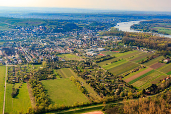 Stadt am Rheinufer von Osten in Oppenheim im Bundesland Rheinland-Pfalz, Deutschland
