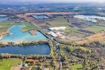 Niederrhein See, Pfarrwiesen See am Gimbsheimer Altrhein im Bundesland Rheinland-Pfalz, Deutschland