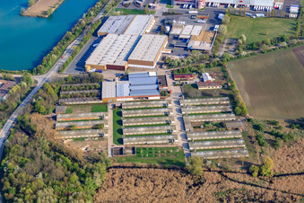 Hego Düngemittelwerk GmbH und TST Trans Service Team GmbH in Gimbsheim im Bundesland Rheinland-Pfalz, Deutschland