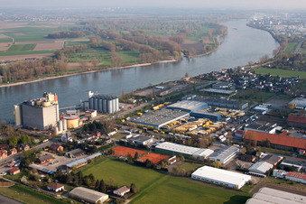 Ortsteil Rheindürkheim in Worms im Bundesland Rheinland-Pfalz, Deutschland aus der Luft betrachtet
