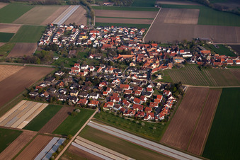 Kleinniedesheim im Bundesland Rheinland-Pfalz, Deutschland