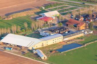Adamshof, nach dem Brand in der Ostereiermalhalle in Kandel im Bundesland Rheinland-Pfalz, Deutschland