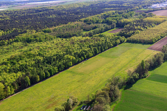 Modellflugplatz des MSC Rülzheim im Bundesland Rheinland-Pfalz, Deutschland