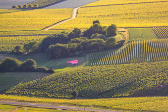 Ballonlandung an der B38 im Ortsteil Ingenheim in Billigheim-Ingenheim im Bundesland Rheinland-Pfalz, Deutschland
