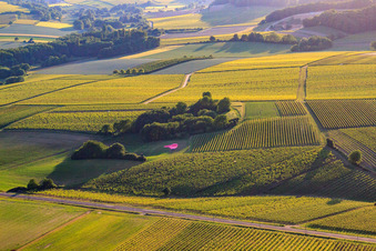 Luftbild von Ballonlandung an der B38 im Ortsteil Ingenheim in Billigheim-Ingenheim im Bundesland Rheinland-Pfalz, Deutschland