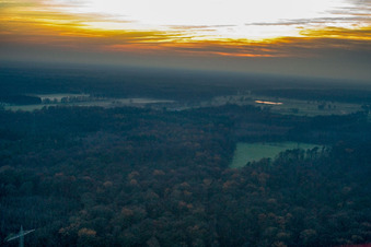Bienwald in Kandel im Bundesland Rheinland-Pfalz, Deutschland