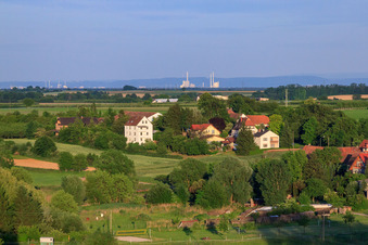 Im Billigheimer Bruch in Hergersweiler im Bundesland Rheinland-Pfalz, Deutschland