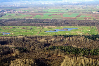 Schrägluftbild von Gelände des Golfplatz Golfanlage Landgut Dreihof in Essingen im Bundesland Rheinland-Pfalz, Deutschland