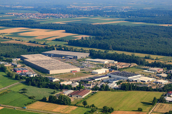 Luftbild von Industriegebiet Horst, Zufall Logistikcenter im Ortsteil Minderslachen in Kandel im Bundesland Rheinland-Pfalz, Deutschland