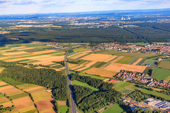 A65 zw. AS Kandel-Nord und Kandel-Mitte im Ortsteil Minderslachen im Bundesland Rheinland-Pfalz, Deutschland