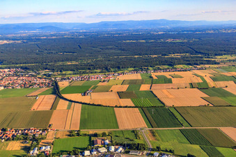 Verlauf der Bahnlinie nach Winden in Kandel im Bundesland Rheinland-Pfalz, Deutschland