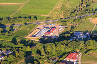 Schrägluftbild von Geothermieanlage der Pfalzwerke geofuture GmbH bei Insheim an der A65 im Bundesland Rheinland-Pfalz, Deutschland