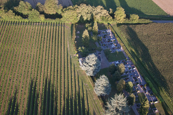 Luftbild von Friedhof im Ortsteil Mühlhofen in Billigheim-Ingenheim im Bundesland Rheinland-Pfalz, Deutschland