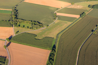 Modellflugplatz des MFC Bad Bergzabern in Oberotterbach im Bundesland Rheinland-Pfalz, Deutschland aus der Luft