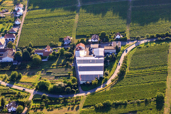 Schrägluftbild von Weinkellerei Emil Wissing GmbH in Oberotterbach im Bundesland Rheinland-Pfalz, Deutschland