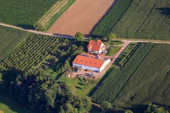 Weingut Heinz & Thomas Beck in Oberotterbach im Bundesland Rheinland-Pfalz, Deutschland