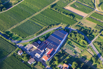 Weinkellerei Emil Wissing GmbH in Oberotterbach im Bundesland Rheinland-Pfalz, Deutschland von oben