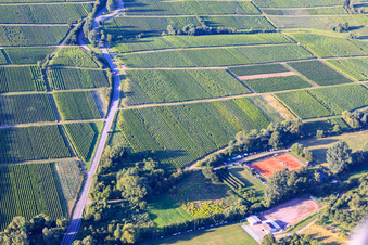 Tennisklub TCO Oberotterbach und SV Oberotterbach 1950 e.V in Dörrenbach im Bundesland Rheinland-Pfalz, Deutschland