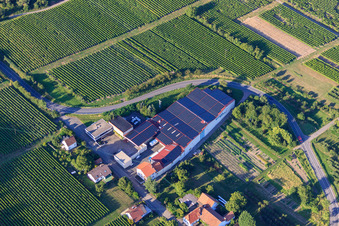 Weinkellerei Emil Wissing GmbH in Oberotterbach im Bundesland Rheinland-Pfalz, Deutschland aus der Luft