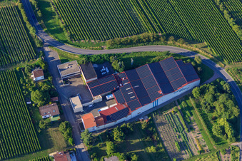 Weinkellerei Emil Wissing GmbH in Oberotterbach im Bundesland Rheinland-Pfalz, Deutschland von oben gesehen
