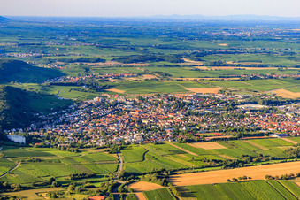 Stadtansicht aus Süden in Bad Bergzabern im Bundesland Rheinland-Pfalz, Deutschland von oben