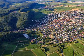 Stadtansicht aus Süden in Bad Bergzabern im Bundesland Rheinland-Pfalz, Deutschland von oben gesehen