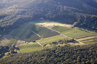 Luftaufnahme von Pleisweiler-Oberhofen im Bundesland Rheinland-Pfalz, Deutschland