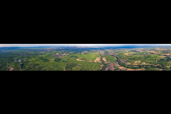 Panorama der Weinbergs- Landschaft der Winzer- Gebiete der Südpfalz in der Rheinebene bei Billigheim-Ingenheim im Ortsteil Klingen in Heuchelheim-Klingen im Bundesland Rheinland-Pfalz, Deutschland