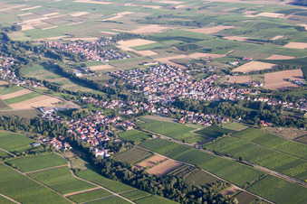Ortsteil Appenhofen in Billigheim-Ingenheim im Bundesland Rheinland-Pfalz, Deutschland von einer Drohne aus