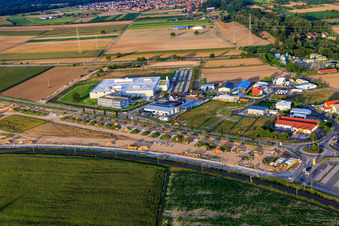 Neubau DBK David + Baader GmbH in Rülzheim im Bundesland Rheinland-Pfalz, Deutschland aus der Luft