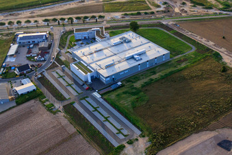 Schrägluftbild von Neubau DBK David + Baader GmbH in Rülzheim im Bundesland Rheinland-Pfalz, Deutschland