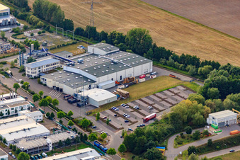 Rose Druck GmbH in Landau in der Pfalz im Bundesland Rheinland-Pfalz, Deutschland